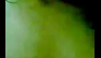 Polla